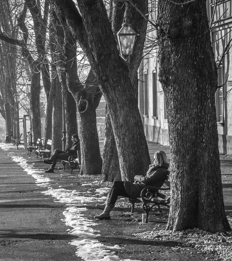 Black and white photo of a person sitting on a bench in a tree-lined park avenue