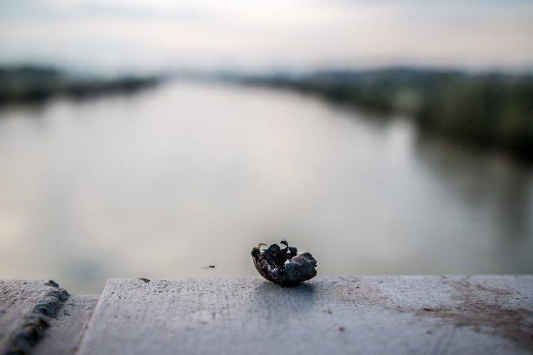 Small withered object on a stone ledge with a river blurred behind