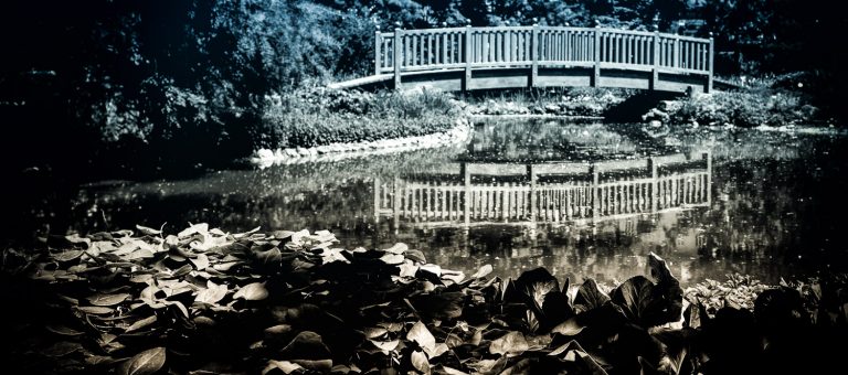 Toned photo of a wooden footbridge reflected in a pond with water plants