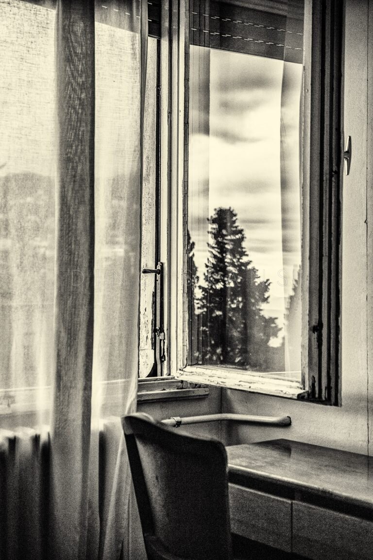 Black and white view through an open window to a tree outside