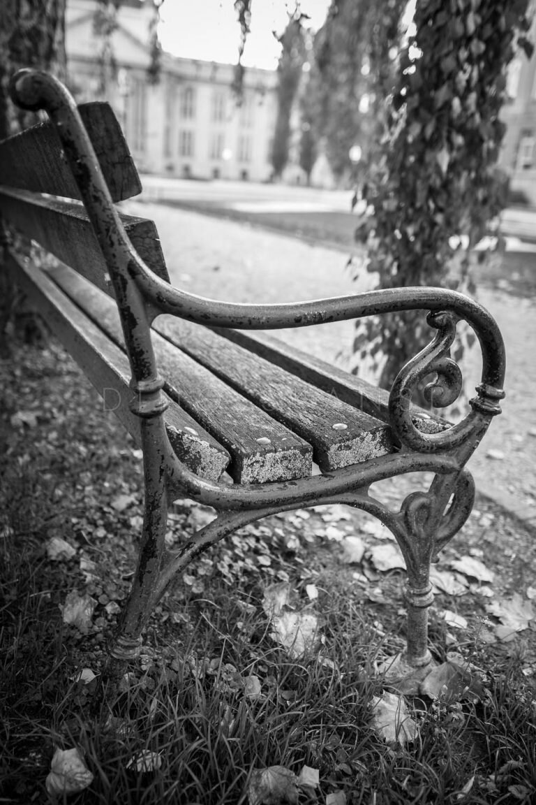 Black and white close-up of the curved arm of an old park bench