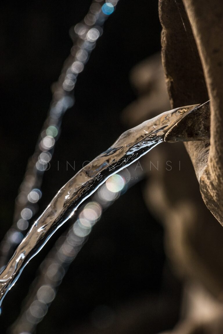 Close-up of a curled dry leaf with blurred lights in the background