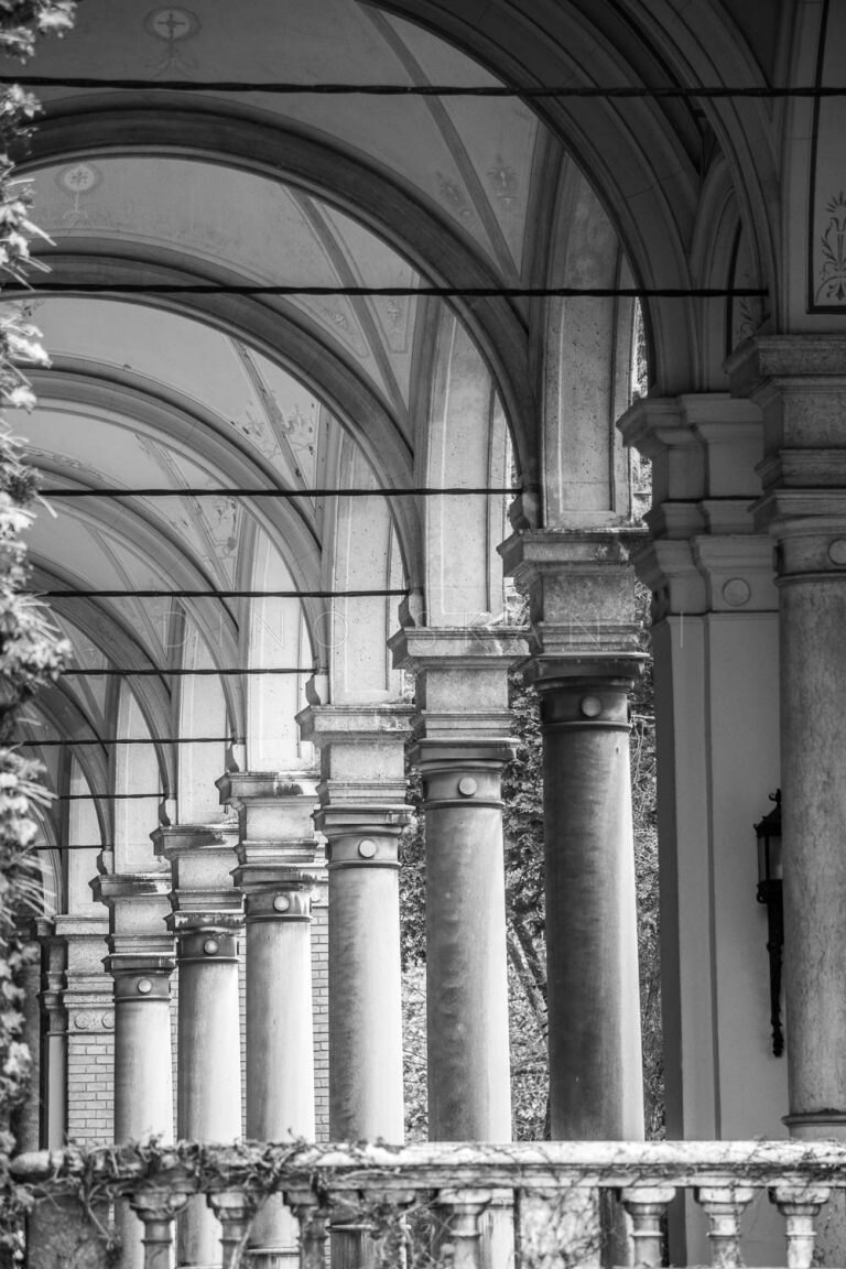 Black and white photo of a vaulted arcade with a row of columns