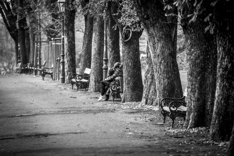 Black and white photo of a person sitting on a bench in a tree-lined park avenue
