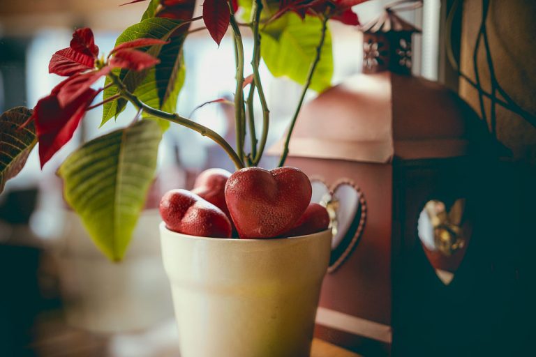 White cup filled with red heart-shaped decorations beside a houseplant