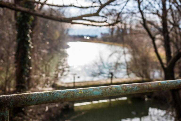 River view framed by bare branches and an old metal railing