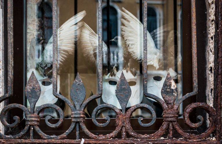 Venetian carnival masks displayed behind an ornate iron grille