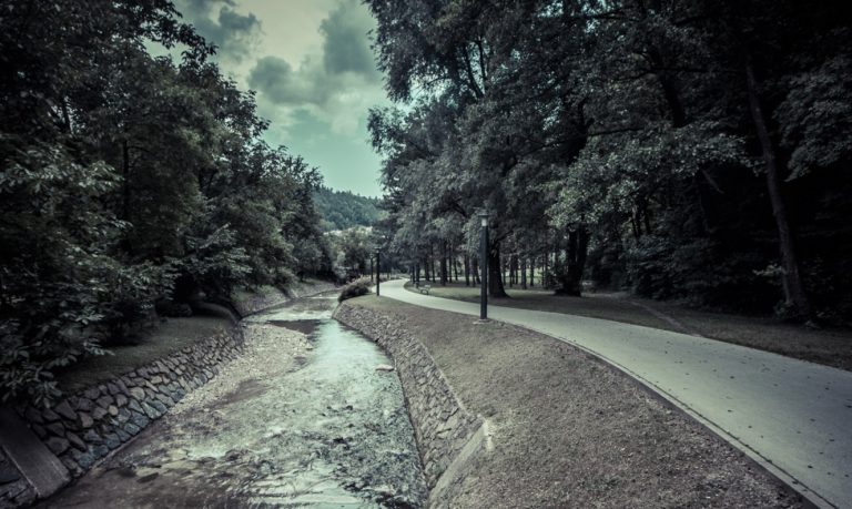Toned photo of a path winding through park trees