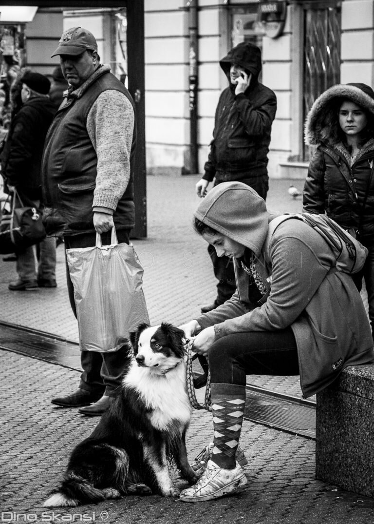 Black and white street photo of a person sitting with a dog among passers-by