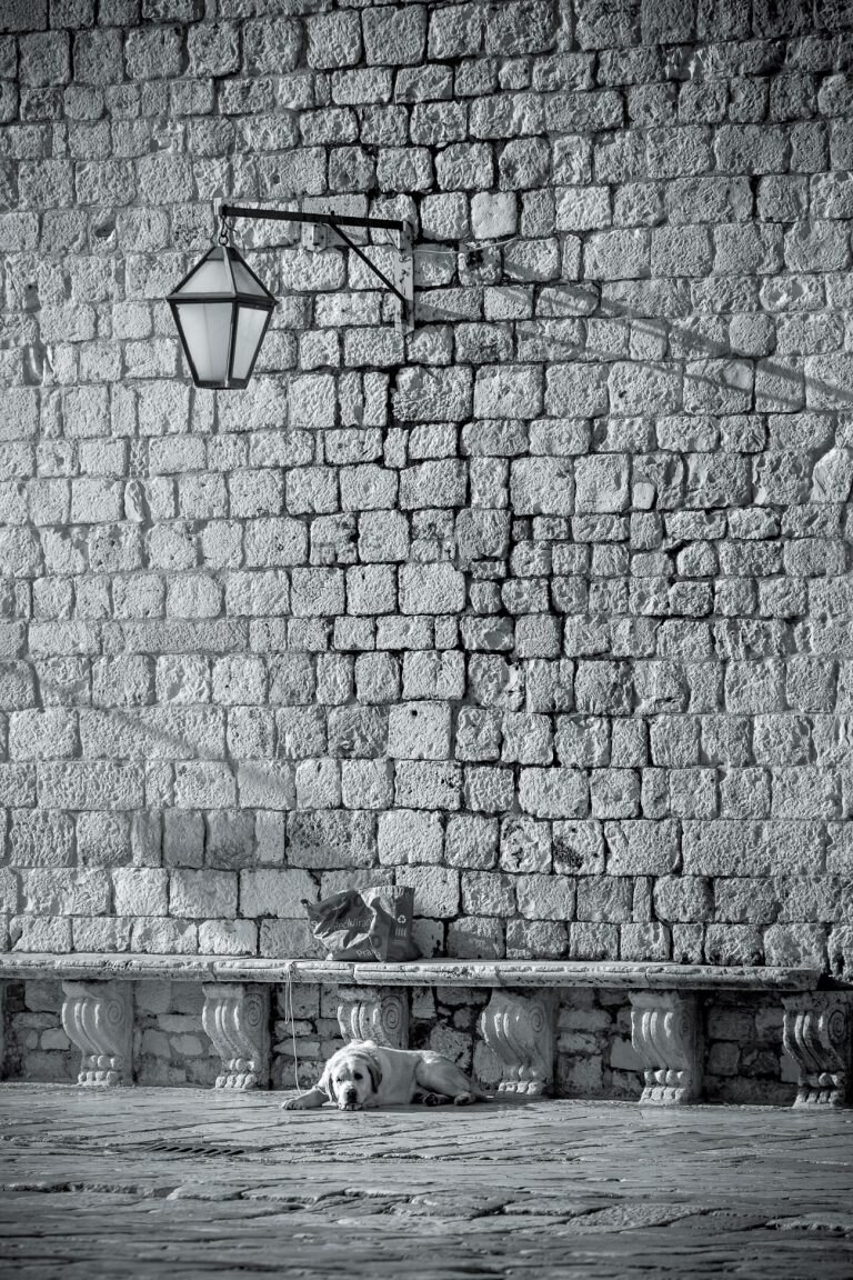 Black and white photo of a street lamp against a stone wall