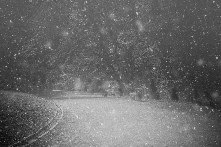 Black and white photo of a park path in falling snow